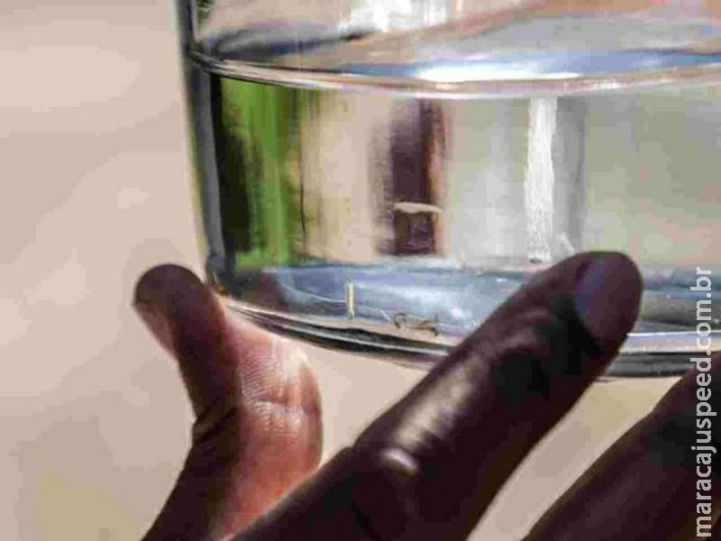 Com a mesma incidência de SP, MS descarta decretar epidemia de chikungunya