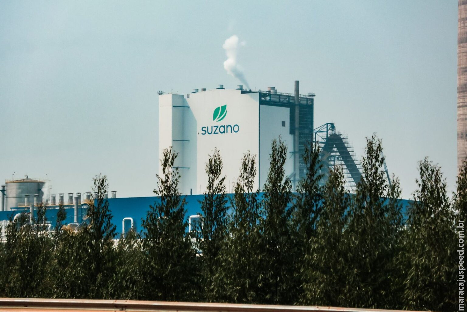 De mecânico a operador de máquinas florestais, Suzano abre sete processos seletivos em MS