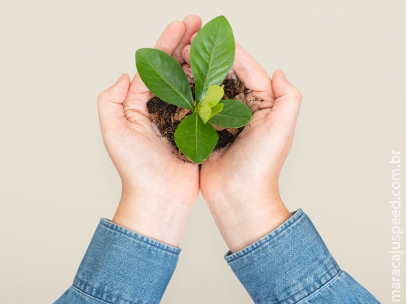 MPMS acompanha desdobramentos de auto de infração ambiental e reforça fiscalização sobre gestão de resíduos em Bonito