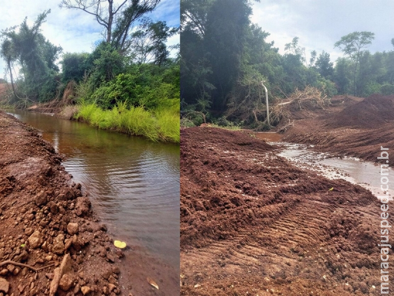 MPMS apura impedimento da regeneração ambiental em área protegida no município de Maracaju