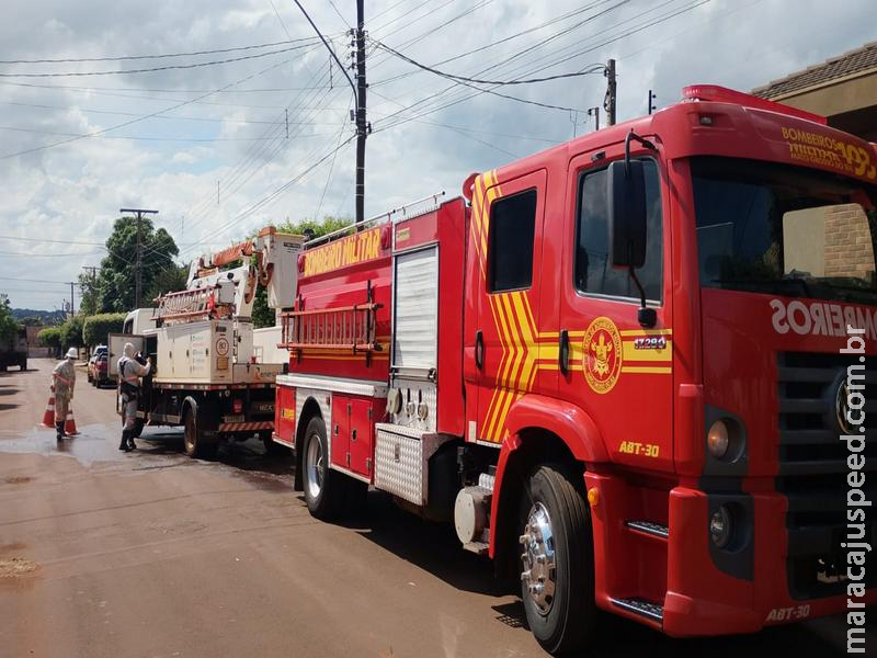PERIGO NA REDE: Curto-circuito em ninho de aves provoca incêndio em poste no Jardim Guanabara