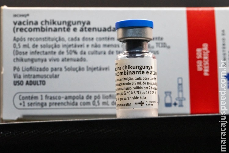 Quer se proteger contra chikungunya? Saiba se é possível comprar vacina na rede privada