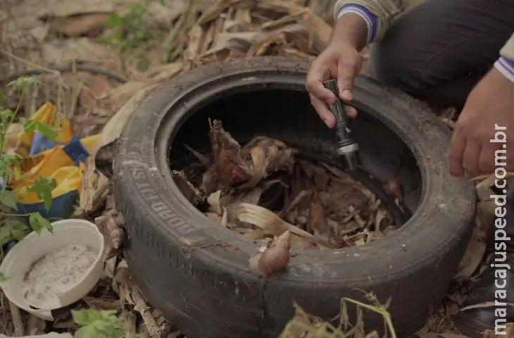 SES e Defesa Civil fazem força-tarefa de combate à chikungunya em Dourados