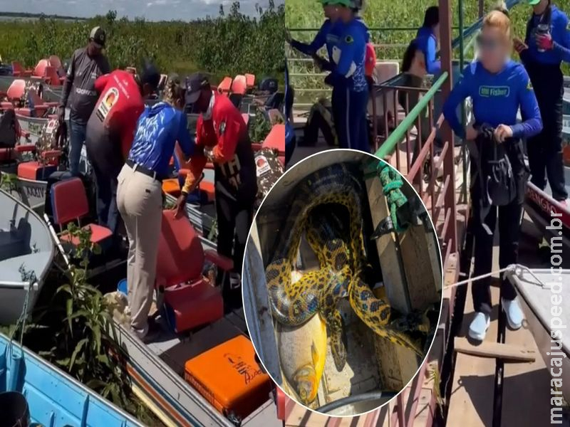 Sucuri invade barco e tumultua pescaria de mulheres em MS: ‘Um alvoroço’