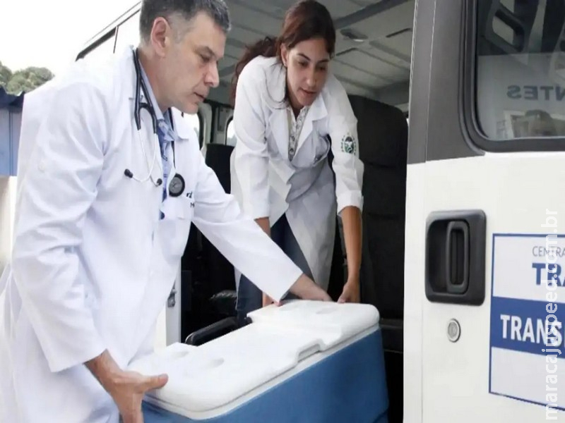 Brasil bate recorde de transplantes com 31 mil realizados em 2025