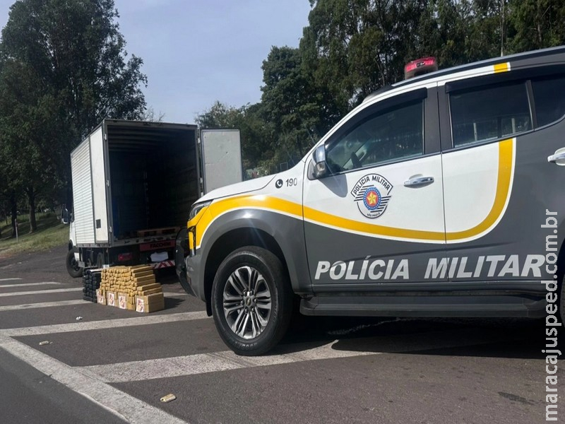 Caminhoneiro de MS é preso com 250 kg de maconha em rodovia de São Paulo