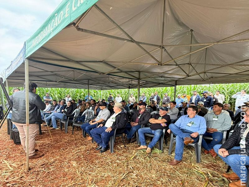 Dia de Campo reúne mais de 400 pessoas em Maracaju para discutir tecnologias mais eficientes para o milho safrinha