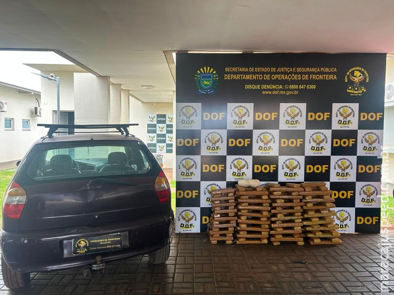 DROGA NO PALIO: DOF intercepta 130 kg de entorpecentes no Distrito Vista Alegre