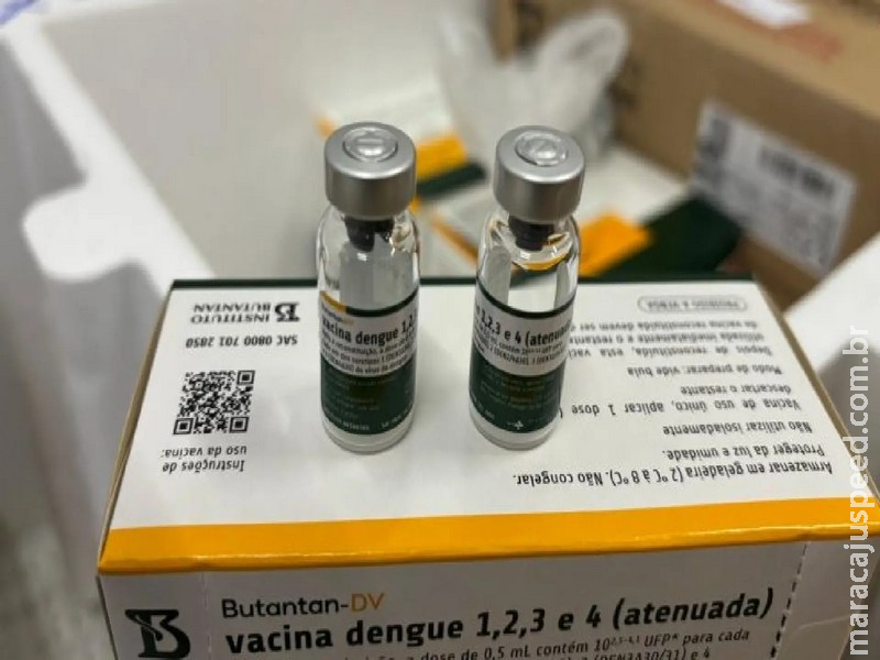 Casos graves e mortes relacionados à vacina da dengue são de profissionais da saúde