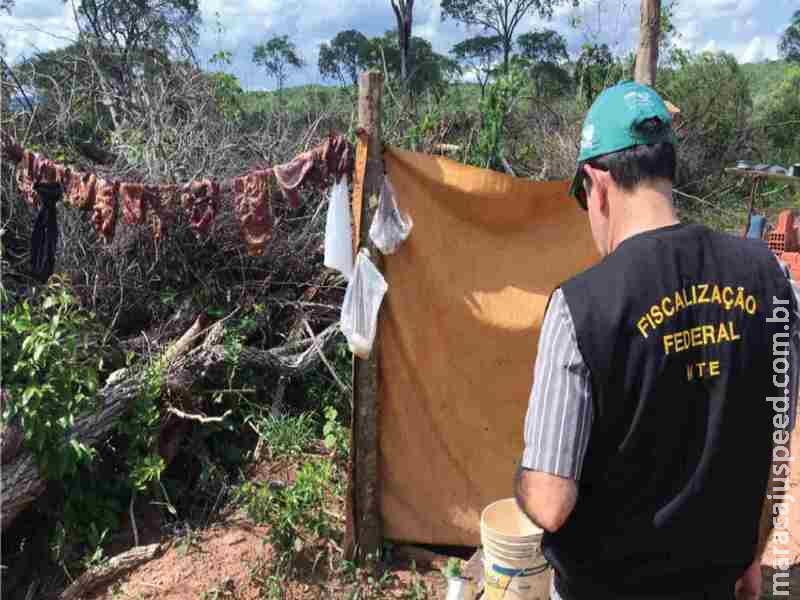 Citada pelos EUA para nova taxa ao Brasil, ‘lista suja’ do trabalho escravo tem 26 casos em MS