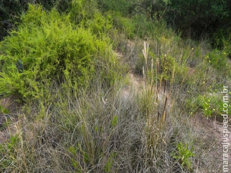 Homem é morto com 10 facadas nas costas e corpo encontrado em terreno em Campo Grande