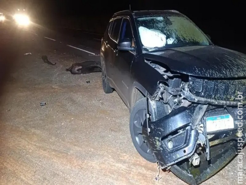 Jeep Compass fica com frente destruída ao colidir com anta na BR-267