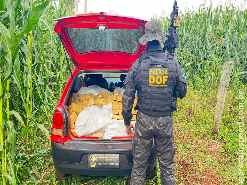 PREJUÍZO DE R$ 1,5 MILHÃO: DOF intercepta Gol carregado com 628 kg de maconha na 