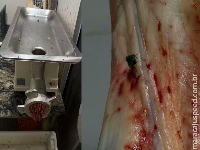 Açougue é interditado após fiscalização apreender quase meia tonelada de carnes impróprias em MS