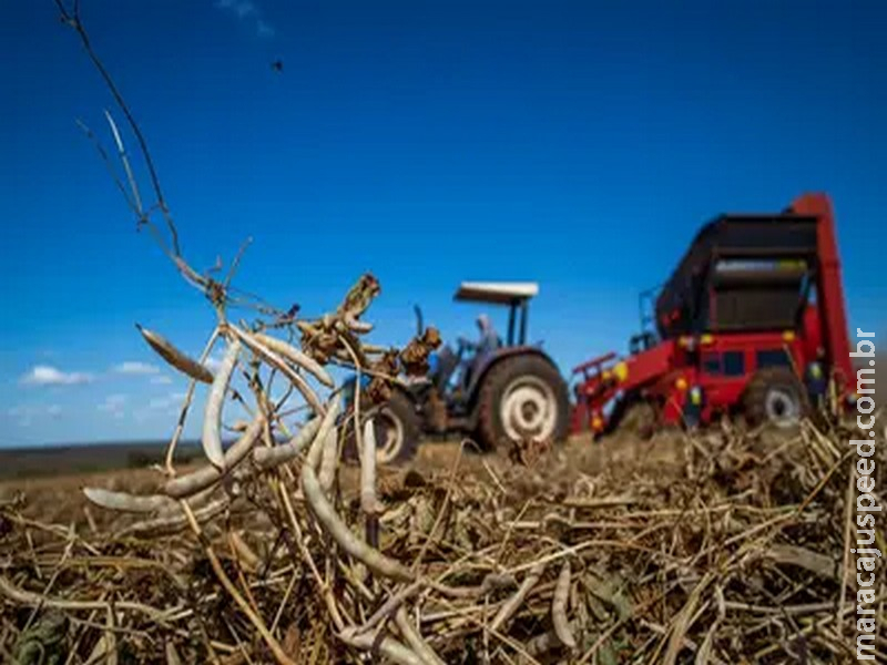 Após acordo, governo publica MP para renegociação das dívidas rurais