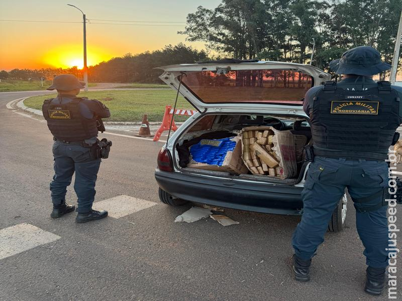 BPMRv apreende 394 quilos de maconha na MS-164 e causa prejuízo de R$ 805 mil ao narcotráfico