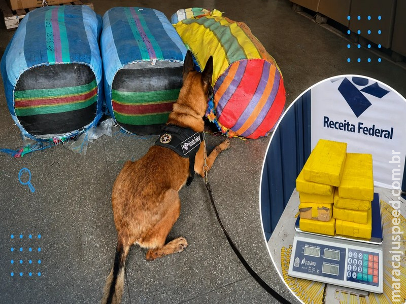 Cão farejador encontra 9 kg de cocaína escondidos entre roupas apreendidas pela Receita Federal
