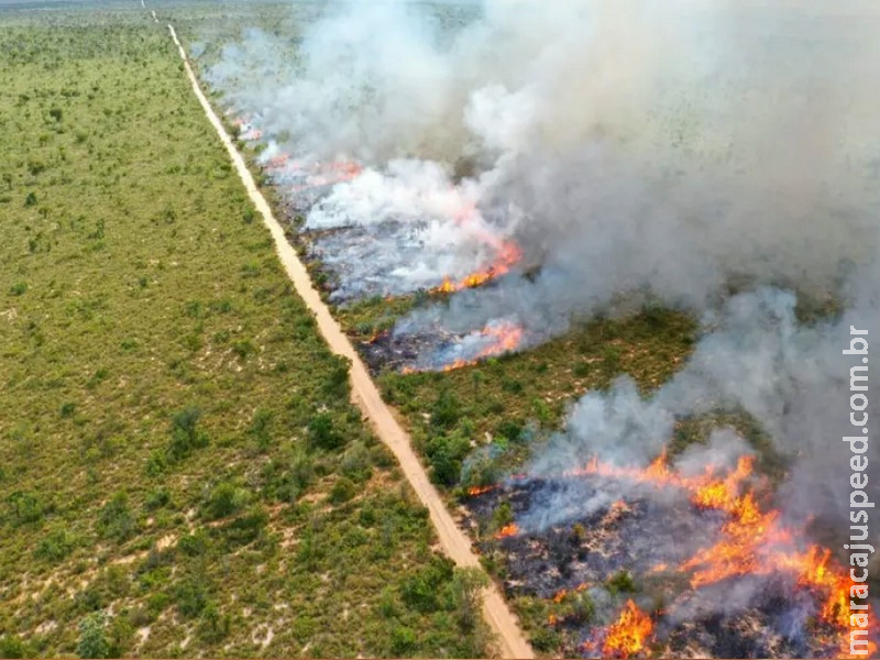 Chuva do fim de semana adia risco de queimadas em parte do Pantanal