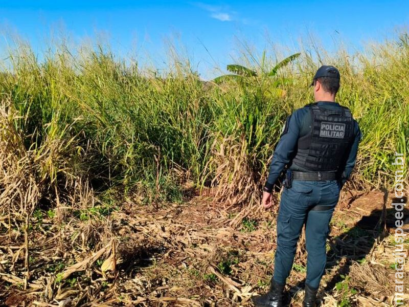 Corpo em avançado estado de decomposição é encontrado entre Dourados e distrito de Itahum