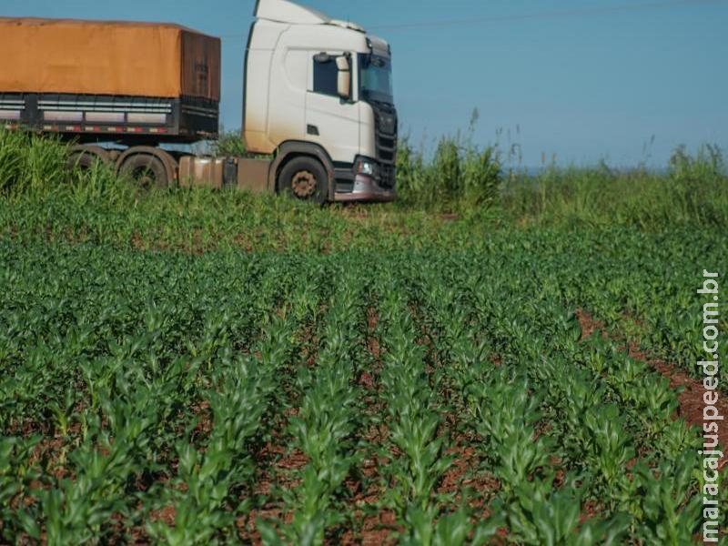 Estudo analisa os impactos da infraestrutura logística sobre a produção agrícola de Mato Grosso do Sul