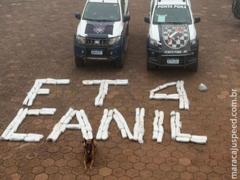 Polícia apreende mais de 67 kg de skunk escondidos em tanques de caminhão