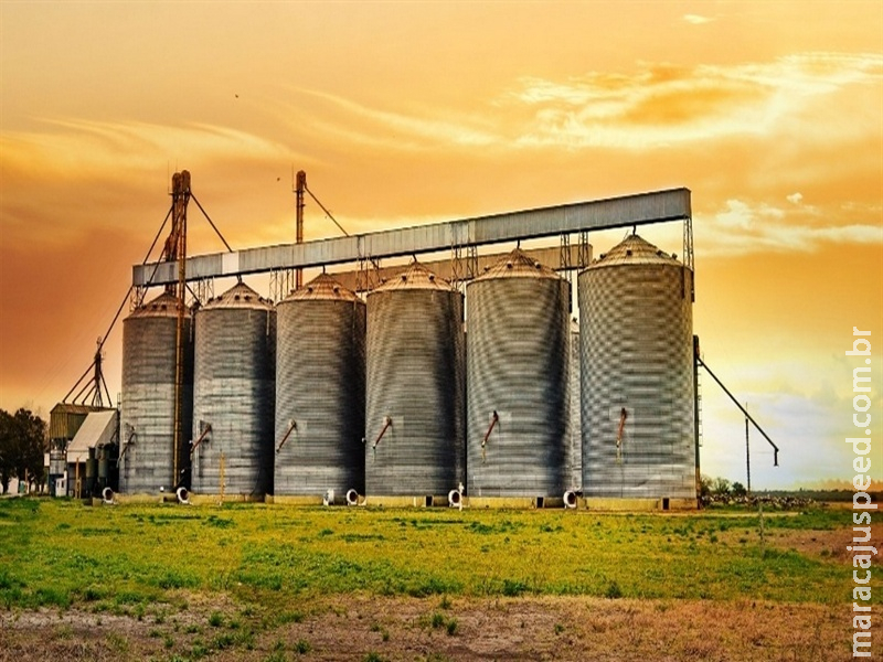 Safra de 360 milhões de toneladas amplia pressão sobre os silos brasileiros