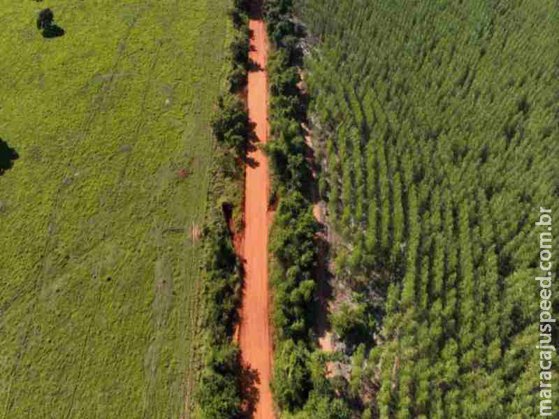 Trecho da MS-040 entre Santa Rita do Pardo e Brasilândia será asfaltado por R$ 80 milhões
