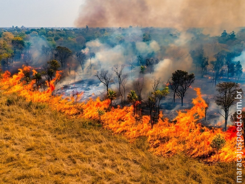Área queimada no Pantanal de MS passa de 90 mil hectares em 2026 