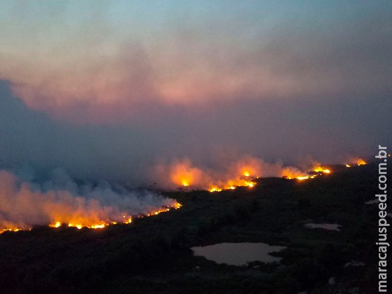 Desmatamento ilegal atinge 348 hectares em Mato Grosso do Sul