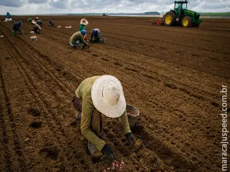 Governo atrasa pagamento de R$ 141 milhões de contratos do Seguro Rural