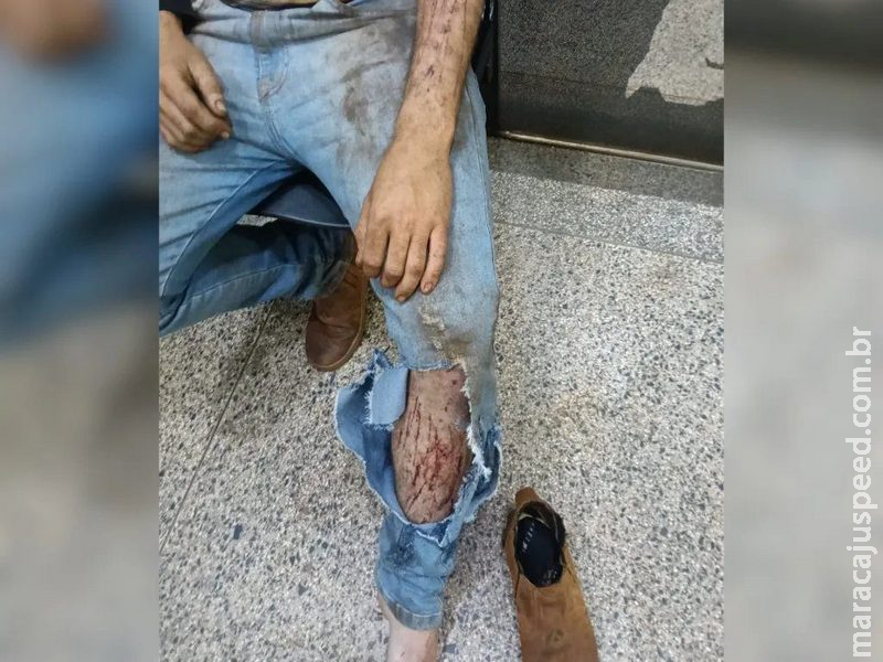 Jovem relata ataque onça durante trabalho em área rural de Ponta Porã