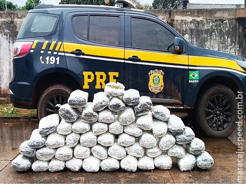 Motorista é preso em flagrante com mais de 50 kg de Skunk na BR 262