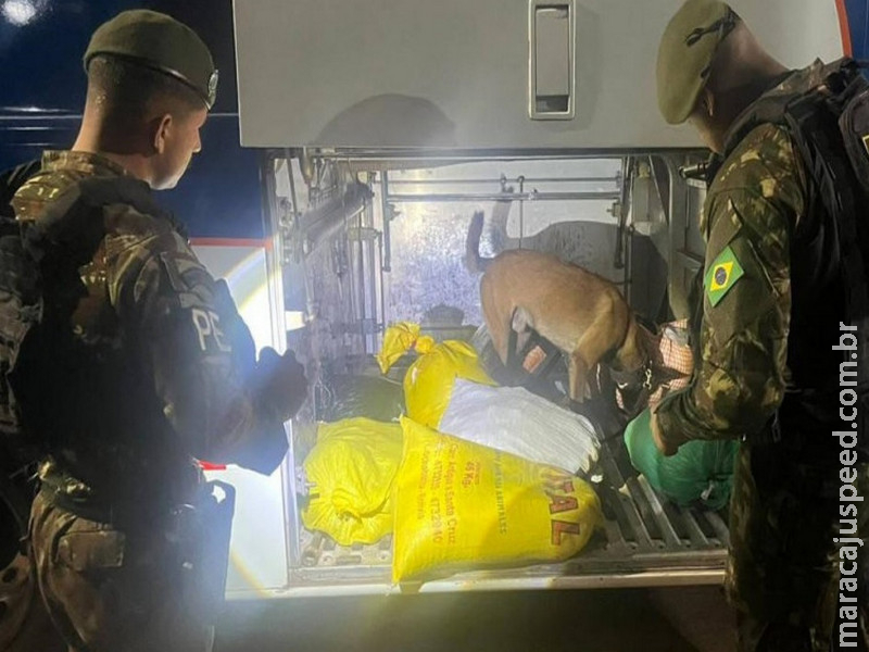 Operação Jaguaretê-Oeste causa prejuízo de R$ 41,2 milhões ao crime organizado