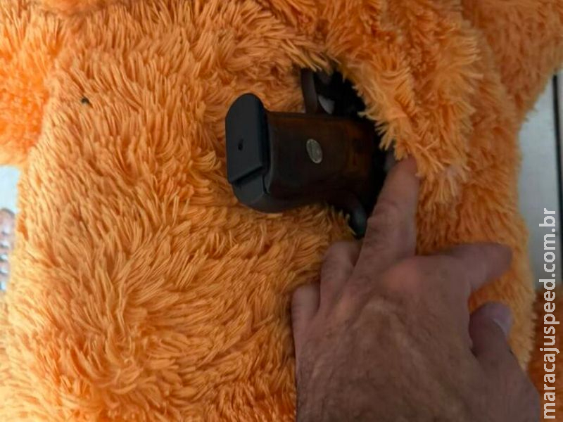 Pistola é encontrada dentro de bicho de pelúcia durante operação que prendeu cinco