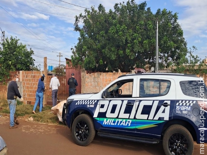 Polícia Militar acompanha fiscalização ambiental e registra caso de maus-tratos a animal em Maracaju