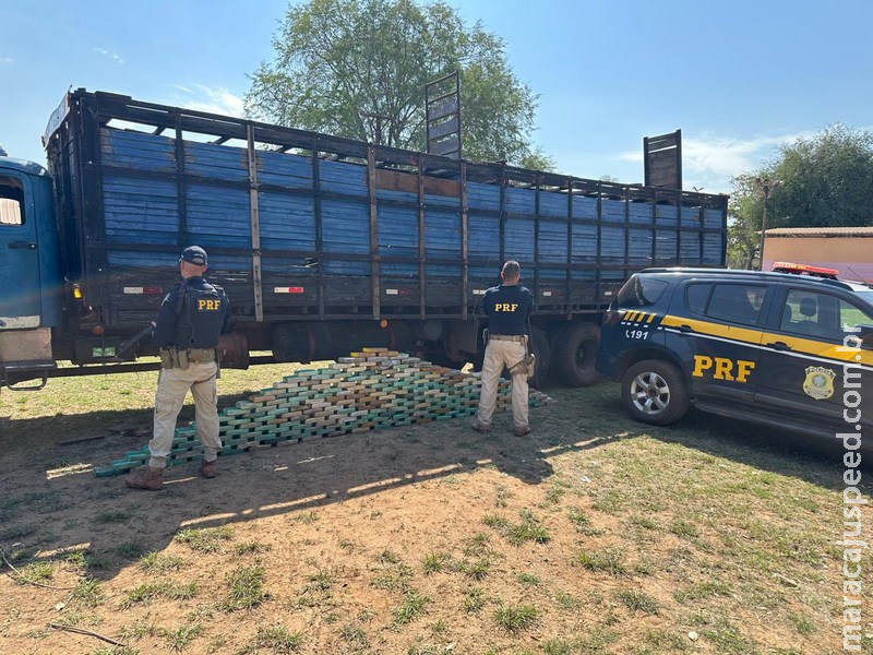 PRF apreende quase 200 kg de cocaína escondidos em caminhão boiadeiro na BR-262 em Corumbá