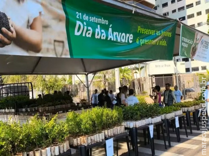 Campo Grande distribui 10 mil mudas de árvores frutíferas de graça neste sábado