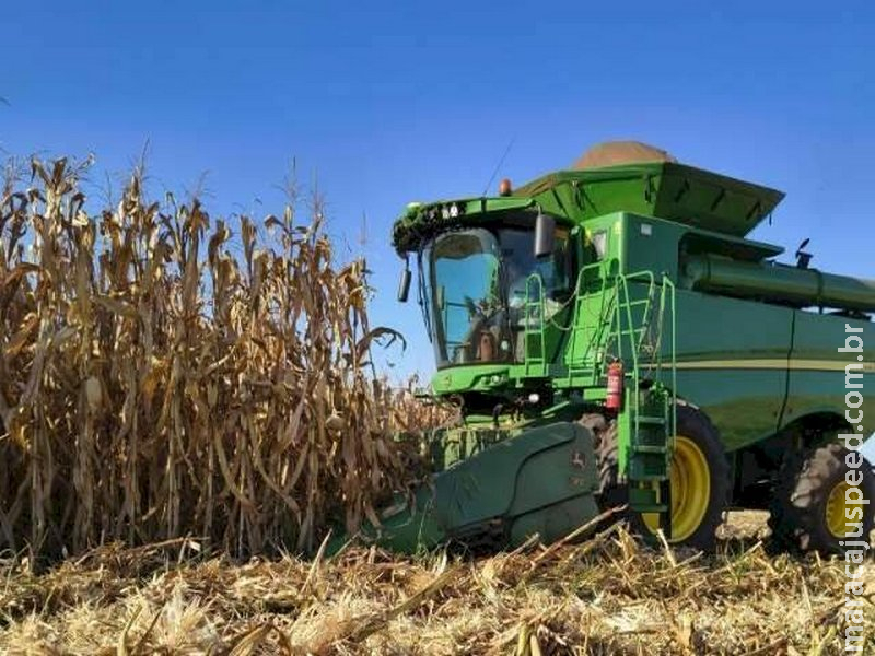 Colheita do milho termina nas regiões Norte e Centro e deixa MS perto de 100%