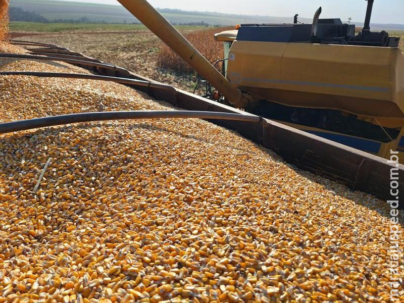 Expansão de usinas cria nova alternativa de comercialização para o milho produzido em Mato Grosso do Sul