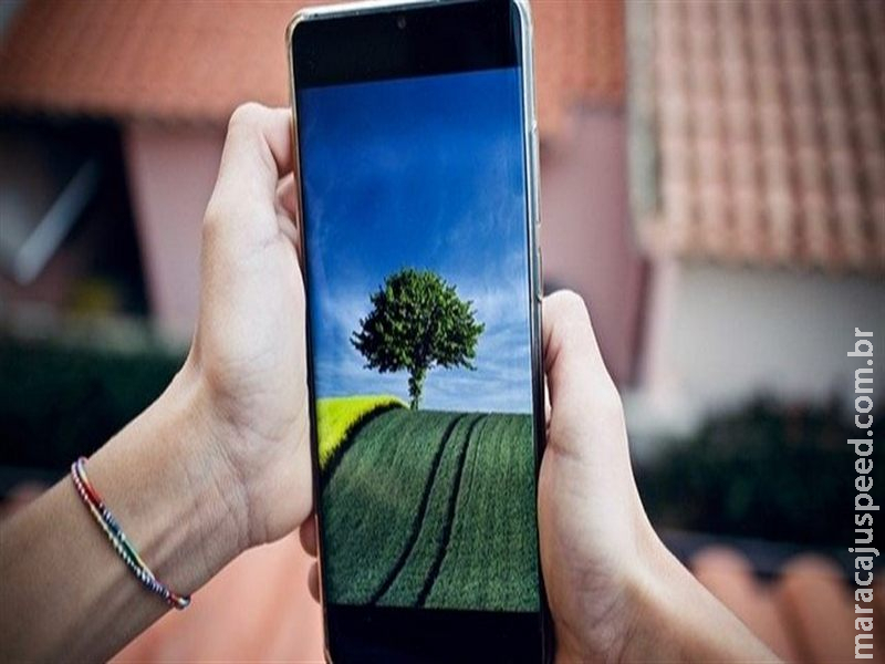 Feira agrícola apresenta máquinas e soluções do futuro