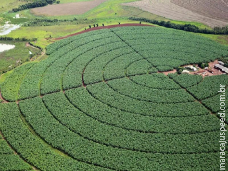 Fertilizantes: governo sanciona lei para desenvolver indústria e reduzir dependência externa