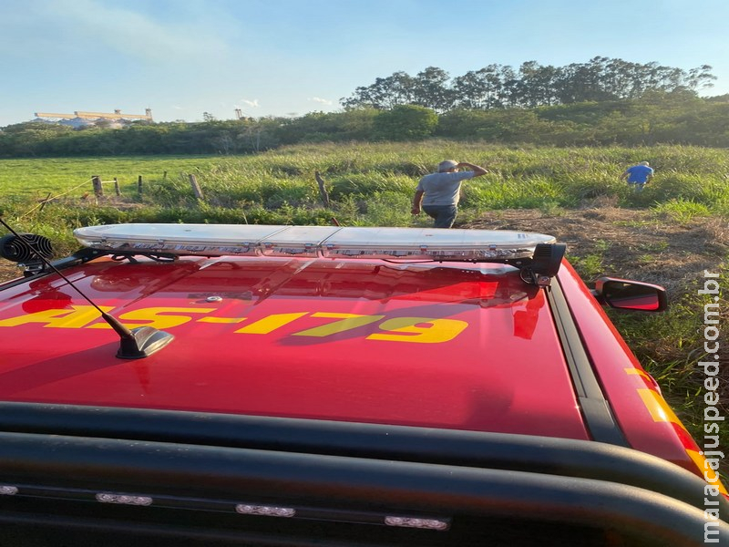 Força-tarefa combate novo incêndio na vegetação do Córrego dos Bugres em Maracaju