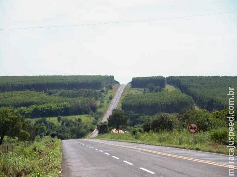  IBGE: MS tem as 7 cidades com maiores áreas de florestas plantadas do Brasil
