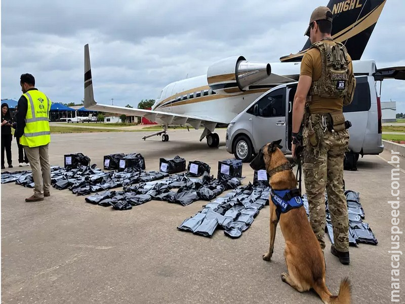 "Maconha premium" vira alvo de operação milionária contra o narcotráfico