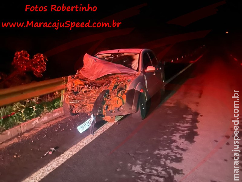 Maracaju: Fiesta colide com anta na MS-164 e mobiliza Corpo de Bombeiros no Distrito de Vista Alegre