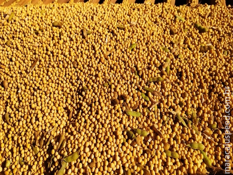 Mercados agrícolas abrem semana com sinais mistos