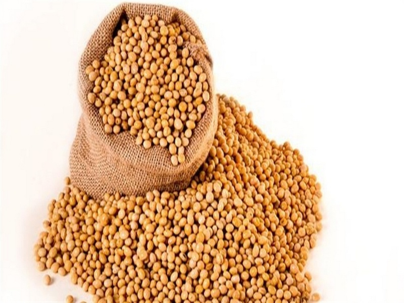 Mercados agrícolas perdem força no final de setembro após alívio comercial entre EUA e China