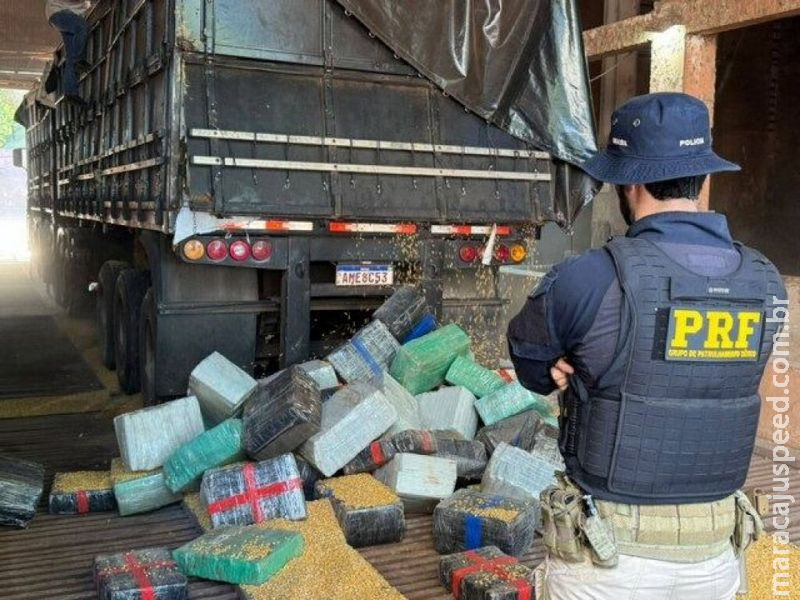 Motorista é preso com 5,2 toneladas de maconha em carga de milho