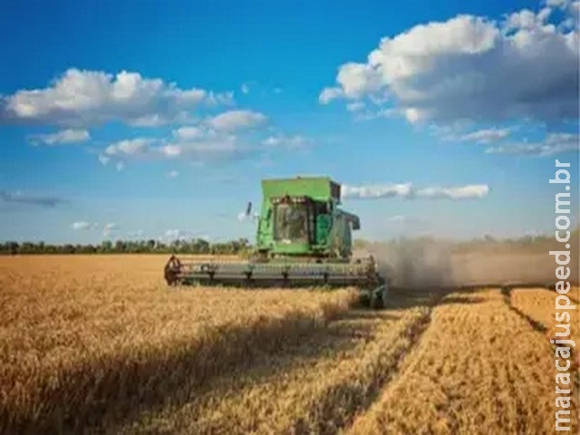 PAM 2025: produção agrícola dos municípios bate recorde de R$ 927,2 bilhões; confira ranking das cidades