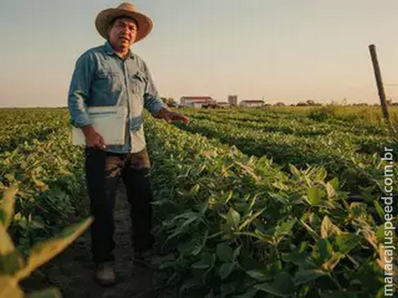 Seguro Rural: o que fazer diante da negativa de cobertura.
